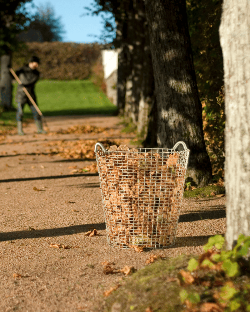 Korbo Classic 80 grozs lapu uzglabāšanai